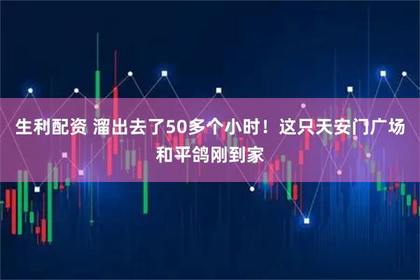 生利配资 溜出去了50多个小时！这只天安门广场和平鸽刚到家
