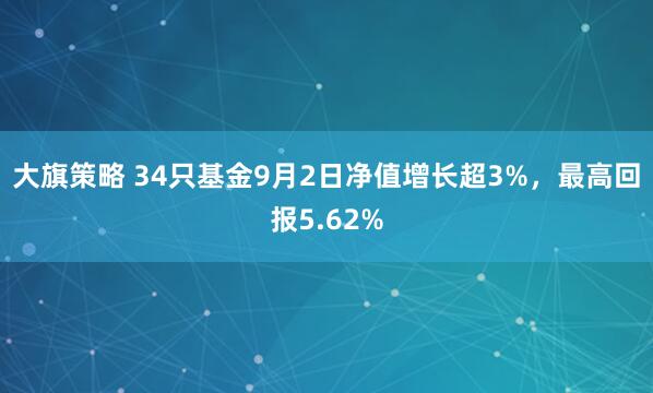 大旗策略 34只基金9月2日净值增长超3%，最高回报5.62%